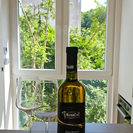 - Ljubljana's Gem - Free Public Parking *